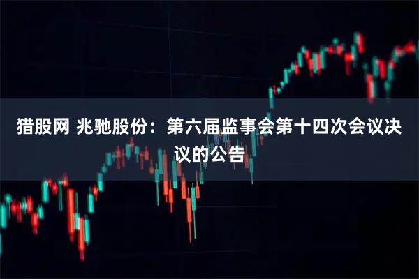 猎股网 兆驰股份：第六届监事会第十四次会议决议的公告