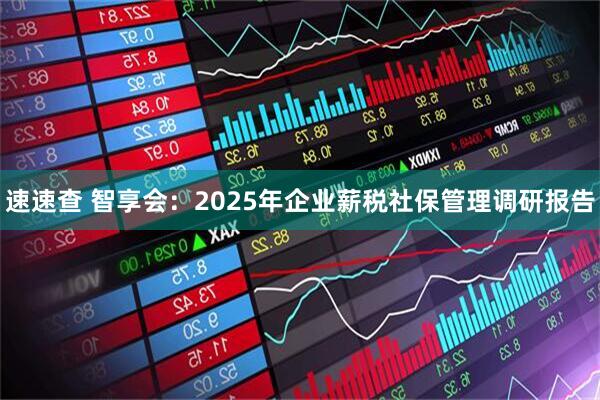 速速查 智享会：2025年企业薪税社保管理调研报告