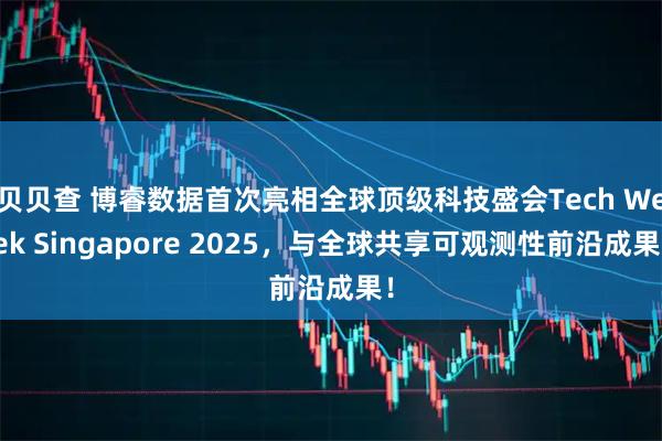 贝贝查 博睿数据首次亮相全球顶级科技盛会Tech Week Singapore 2025，与全球共享可观测性前沿成果！